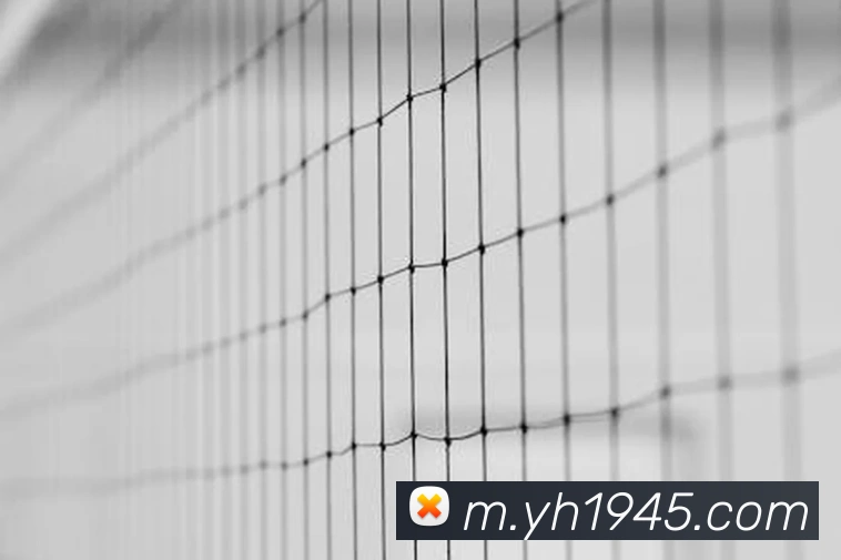 AI Risk Control